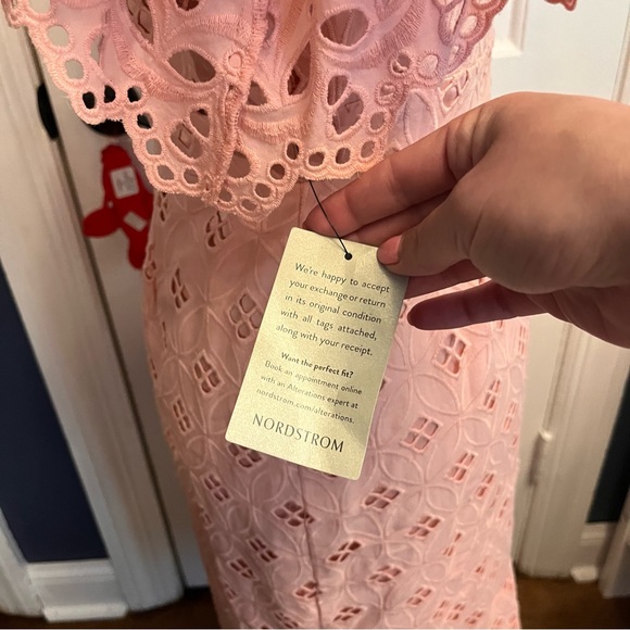 Rachel Parcell Pink Lace Dress - Picture 5 of 10